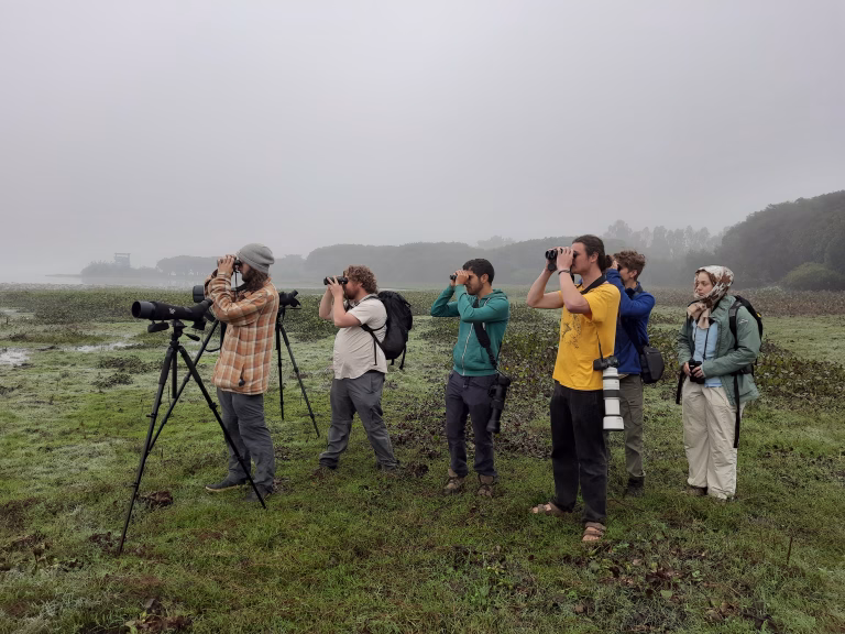 Trip Report – 12 Day Cachar Bulbul, Pallas’s Fish Eagle, Baer’s Pochard, Common Crane, Slow Loris, Hoolock Gibbon trip with BirdingBD Tours